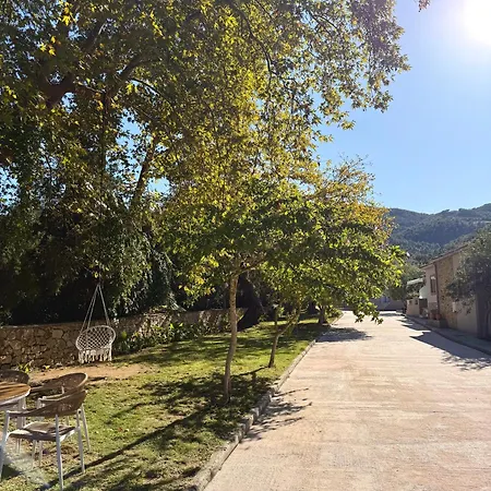 Aroma Glifada (Thasos)