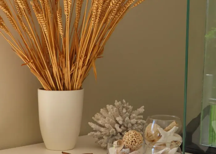 酒店 Aroma Glifada (Thasos)