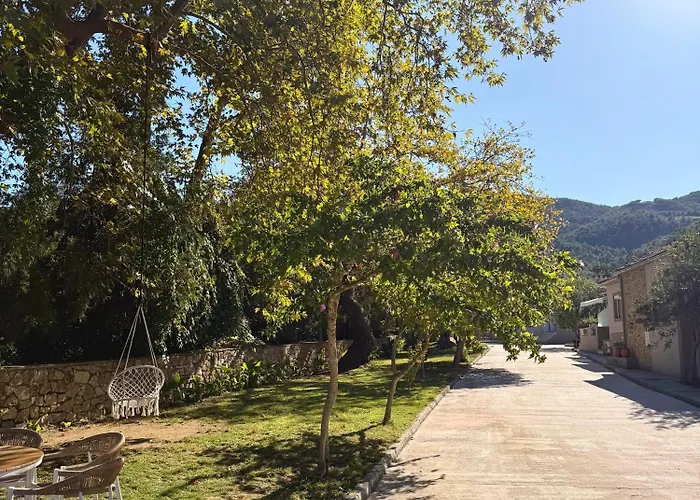 Aroma Glifada (Thasos)